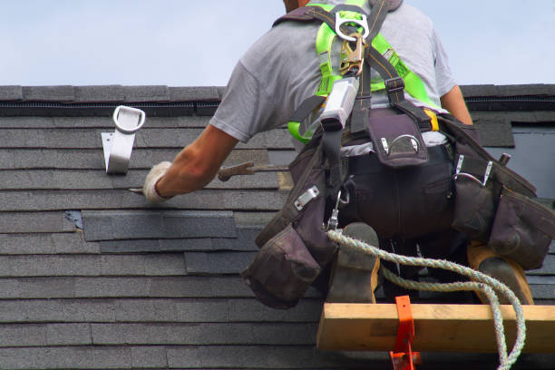 Best Roof Repair Services  in Black River Falls, WI