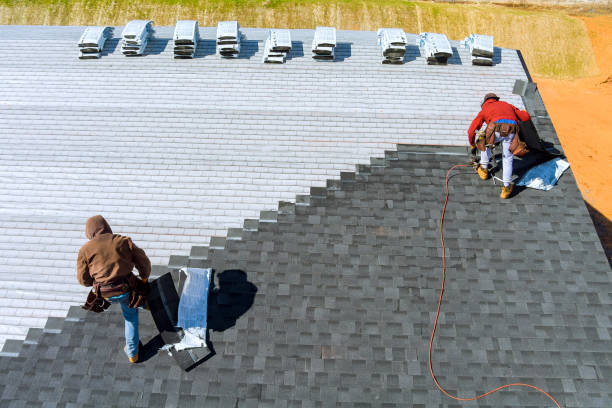 Best Roof Gutter Cleaning  in Black River Falls, WI