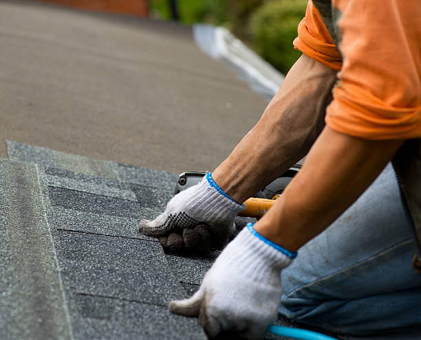 Roof Waterproofing Services in Black River Falls, WI